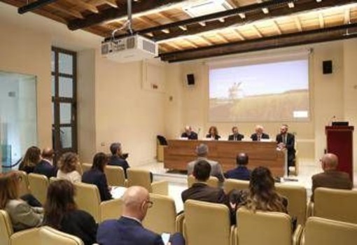Made in Italy, Cipollina (Mondelēz Italia): "Sostenibilità pilastro strategico per crescita e filiere agricole" Made in Italy, Cipollina (Mondelēz Italia): "Sostenibilità pilastro strategico per crescita e filiere agricole"