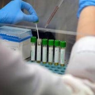 Mers, 9 casi con due morti in Arabia Saudita. Oms: &quot;Rischio moderato&quot;