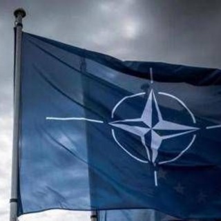 Nato, le aspettative di Trump: "Vuole tutti gli alleati verso il 5% di spesa per la difesa" Nato, le aspettative di Trump: "Vuole tutti gli alleati verso il 5% di spesa per la difesa"