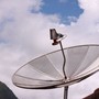 TV satellitare, qualità e copertura: a Napoli il confronto sul futuro del settore