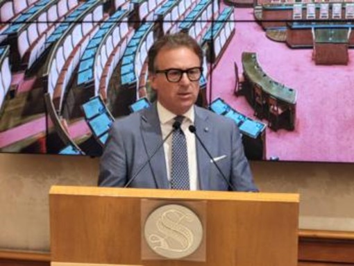 Damiani (Fi): "Collaborazione istituzioni e associazioni fondamentale" Damiani (Fi): "Collaborazione istituzioni e associazioni fondamentale"