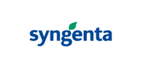 La chimica italiana ai vertici mondiali, American Chemical Society premia Camilla Corsi di Syngenta