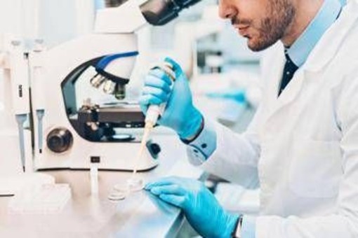 Eurispes: &quot;Salgono italiani a favore della fecondazione eterologa, quasi 60%&quot;