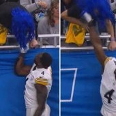 Litiga col tifoso e gli molla un pugno, la follia della star NFL Litiga col tifoso e gli molla un pugno, la follia della star NFL