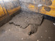 Pompei, scoperto l'armadio dei ricordi: all'interno trucco, monete e un'antica collana Pompei, scoperto l'armadio dei ricordi: all'interno trucco, monete e un'antica collana
