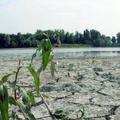 Agosto mese più caldo mai registrato, estate più rovente di sempre per l'Europa occidentale Agosto mese più caldo mai registrato, estate più rovente di sempre per l'Europa occidentale