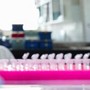 Tumori, nel Dna spazzatura molecole alleate: lo studio Italia-Usa
