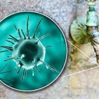 Malattie rare, Sitrac: &quot;Non accessibile farmaco approvato in cheratite da Acanthamoeba&quot;