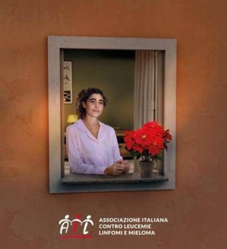 Lotta alle leucemie, tornano le stelle di Natale Ail per la ricerca Lotta alle leucemie, tornano le stelle di Natale Ail per la ricerca