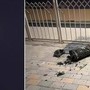 Iran risponde ai raid Usa, attaccate basi americane in Qatar e Iraq