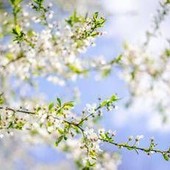 Sole e caldo con picchi estivi, ma non dura: il meteo dei prossimi giorni Sole e caldo con picchi estivi, ma non dura: il meteo dei prossimi giorni