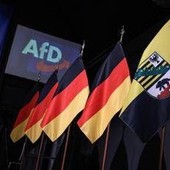 Elezioni in Sassonia, exit poll: Afd trionfa con 44,5% dei voti