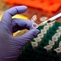 Da Aiom 39 linee guida per tumori: &quot;Riferimento per appropriatezze cure e qualità vita&quot;