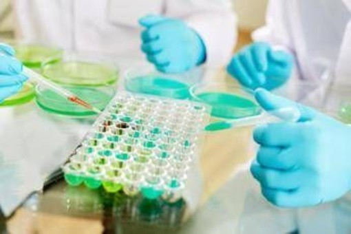 Studi no profit, nasce l'alleanza tra Fondazione Veronesi e Ficog