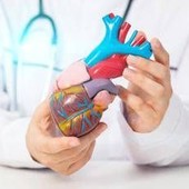 Cardiomiopatia ipertrofica ostruttiva: "Terapia innovativa efficace e sicura a 5 anni"