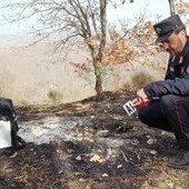 Incendi, Carabinieri Forestali: "98% causati dall'uomo, in primi 6 mesi 3800 ettari bruciati" Incendi, Carabinieri Forestali: "98% causati dall'uomo, in primi 6 mesi 3800 ettari bruciati"