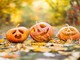 (foto tratta da Pixabay) (foto tratta da Pixabay)